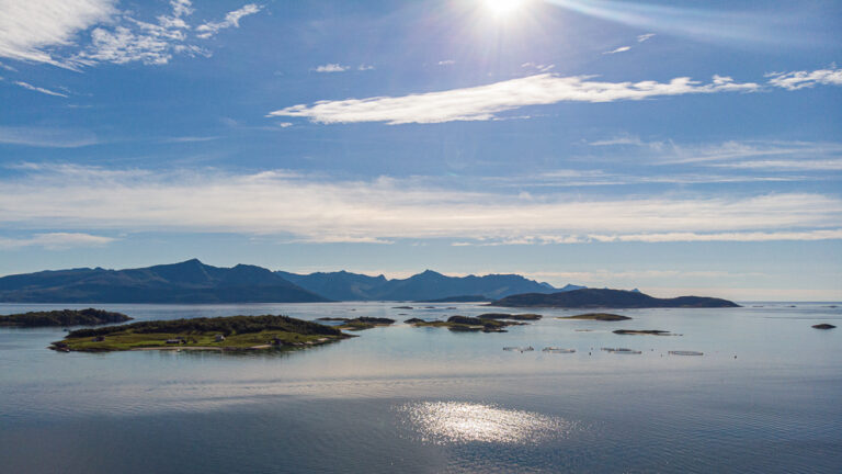 DJI_0309