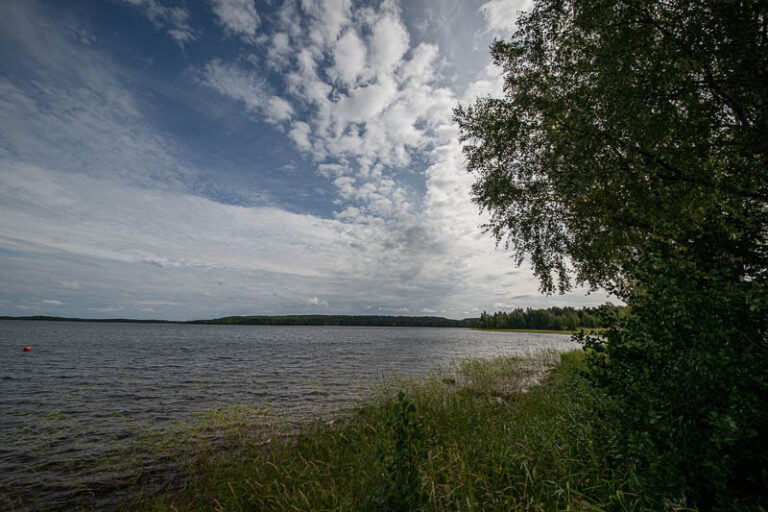 DSC00715