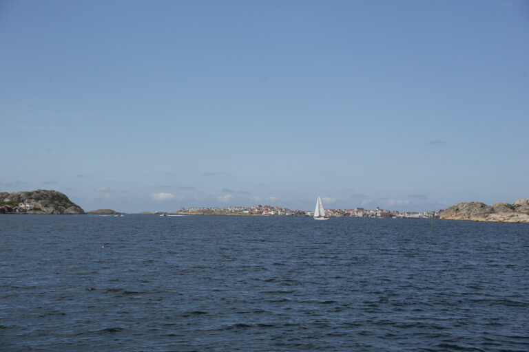DSC08566