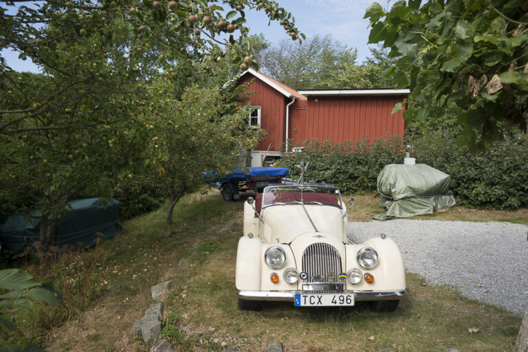 DSC08626